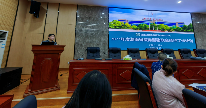 何俊副经理对2023年湖南省瘦肉型猪联合育种工作做安排.png